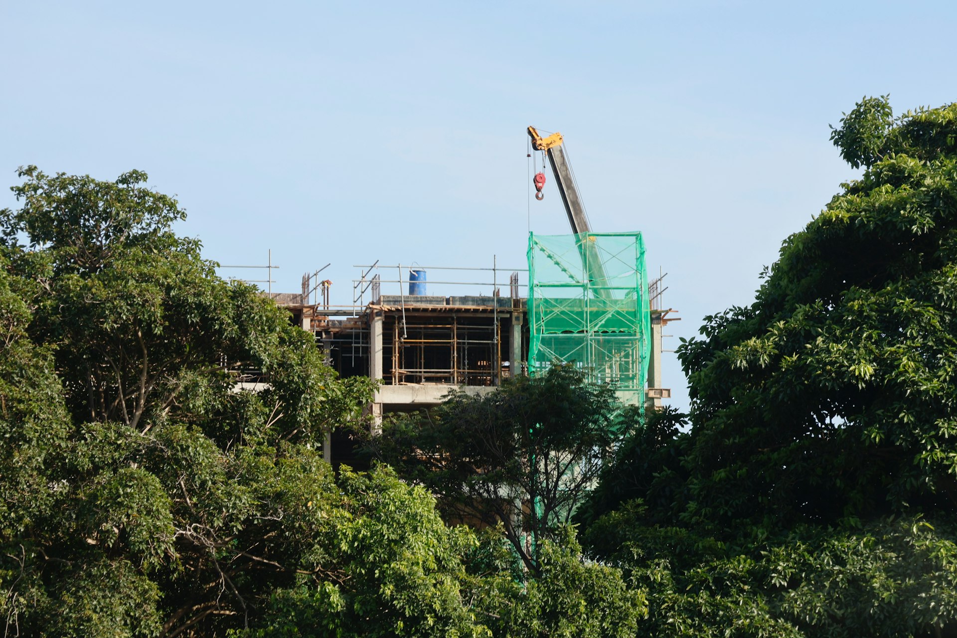 Construction site with crane amidst lush green trees.